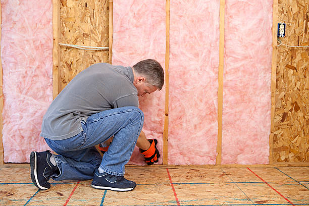 Best Energy Efficiency Solutions in Newington Forest, VA